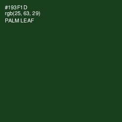 #193F1D - Palm Leaf Color Image